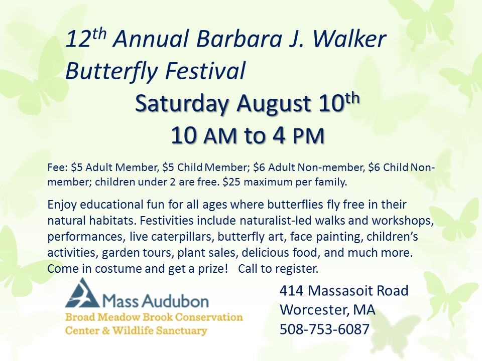 Butterfly Festival