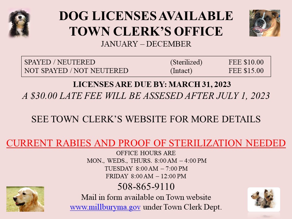 Dog license information
