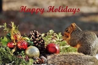 squirrel with glass ball ornaments